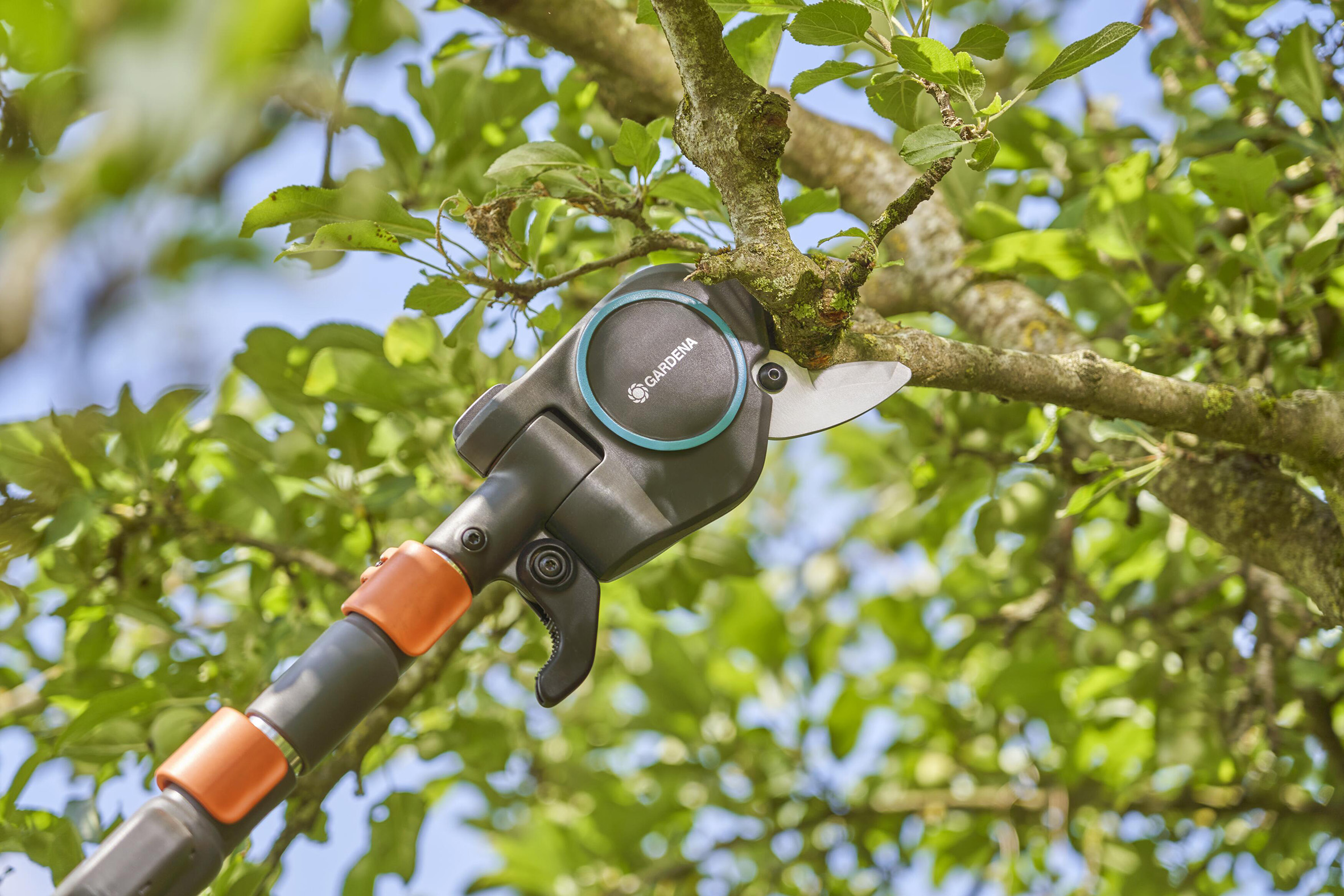 StarCut Pro L de Gardena : l’élagueur qui donne de la hauteur à vos envies de jardin