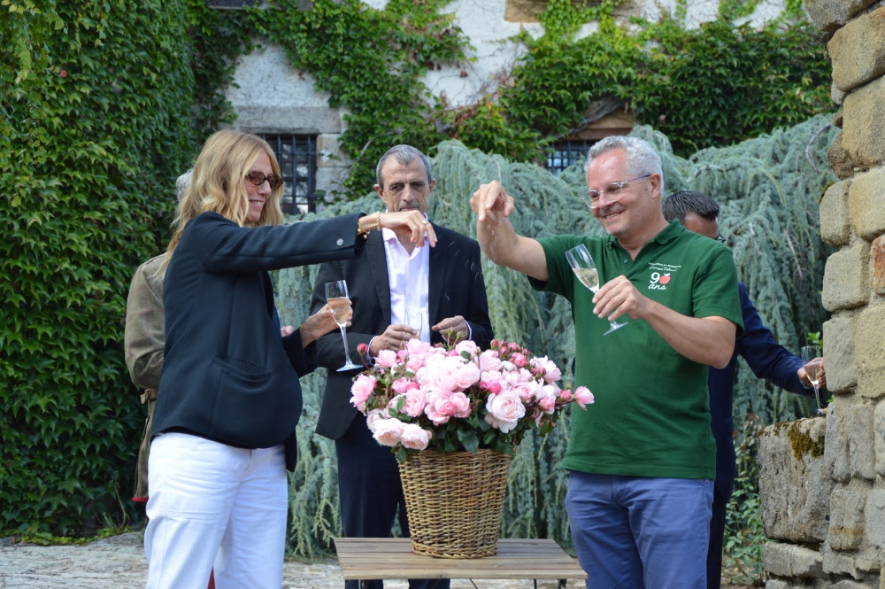 Une rose pour célébrer l’élégance